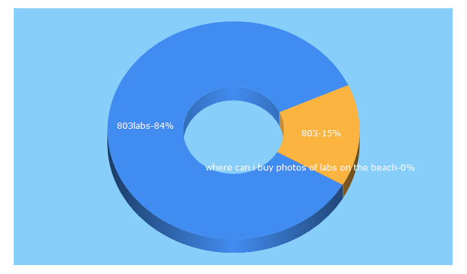 Top 5 Keywords send traffic to 803labs.com