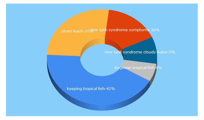 Top 5 Keywords send traffic to amysguidetoaquariumfish.com