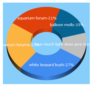 Top 5 Keywords send traffic to aquariumforum.com