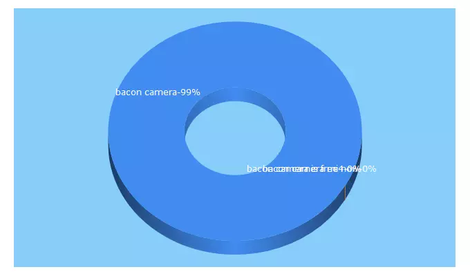 Top 5 Keywords send traffic to baconcamera.com