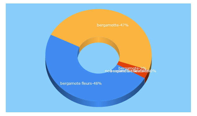 Top 5 Keywords send traffic to bergamotte.com