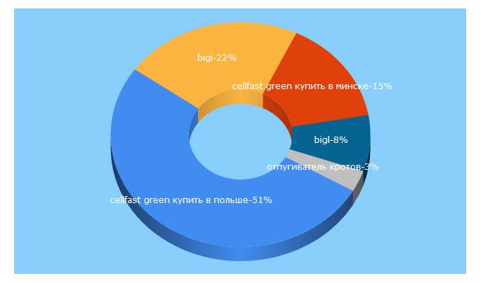 Top 5 Keywords send traffic to bigi.by