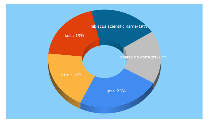 Top 5 Keywords send traffic to bimbima.com