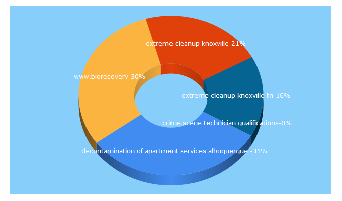 Top 5 Keywords send traffic to biorecovery911.com