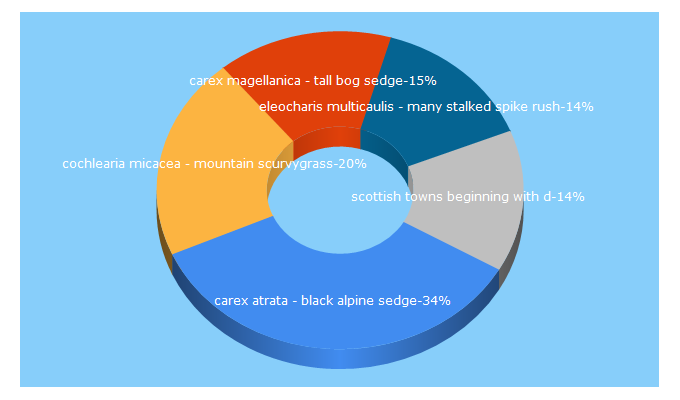 Top 5 Keywords send traffic to british-towns.net