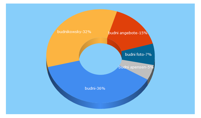 Top 5 Keywords send traffic to budni.de