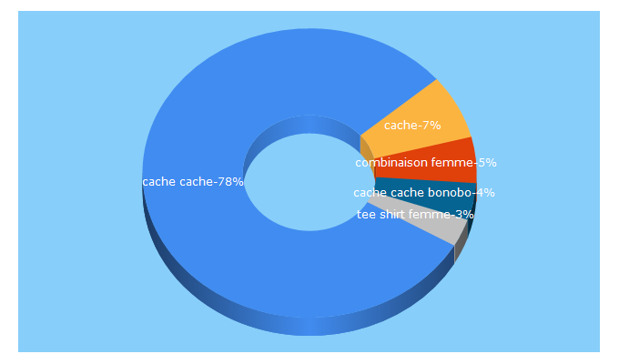 Top 5 Keywords send traffic to cache-cache.fr