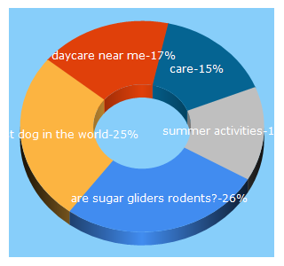 Top 5 Keywords send traffic to care.com