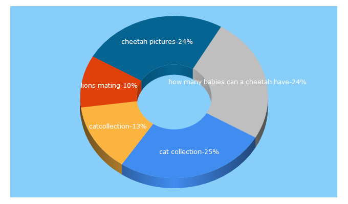 Top 5 Keywords send traffic to catcollection.org