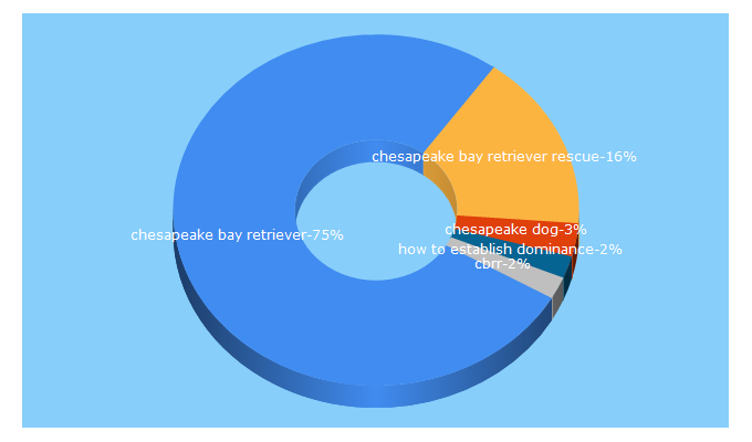 Top 5 Keywords send traffic to cbrrescue.org