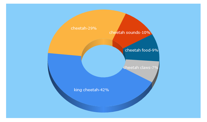 Top 5 Keywords send traffic to cheetahspot.com