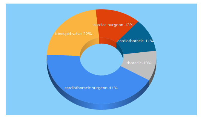 Top 5 Keywords send traffic to ctsurgerypatients.org