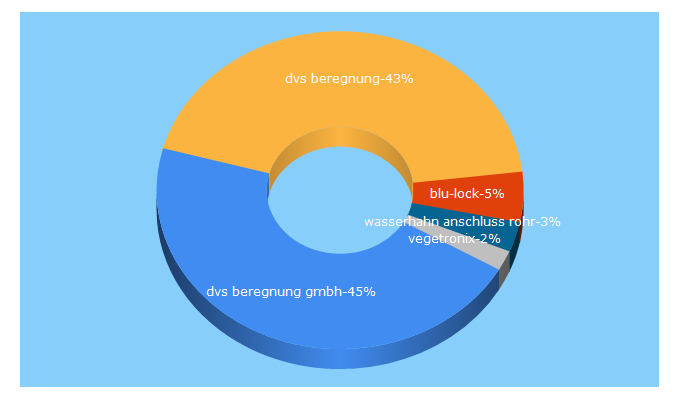 Top 5 Keywords send traffic to dvs-beregnung.de