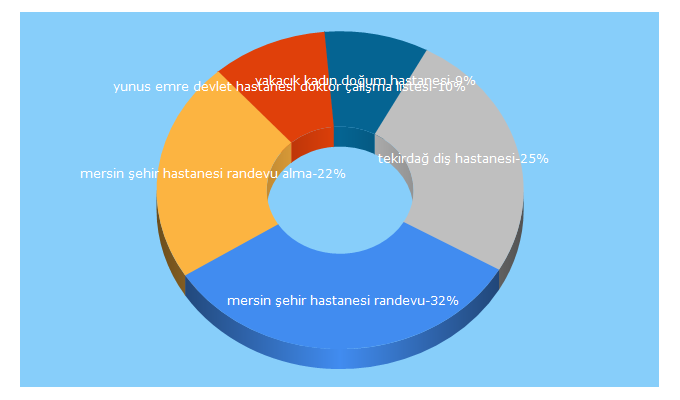 Top 5 Keywords send traffic to e-randevu.org