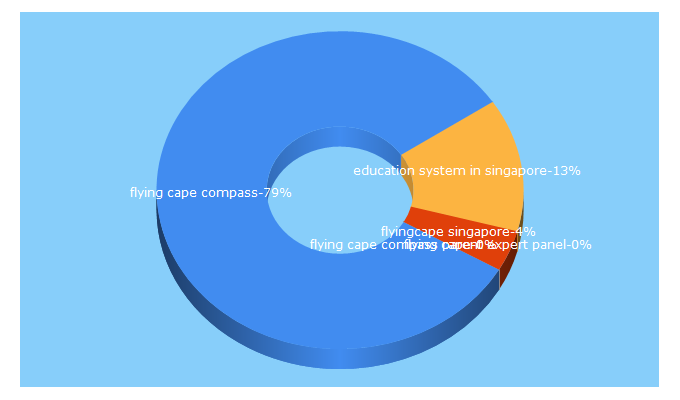 Top 5 Keywords send traffic to flyingcape.com.sg