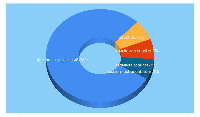 Top 5 Keywords send traffic to geophoto.ru