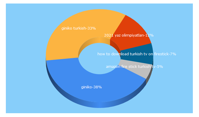 Top 5 Keywords send traffic to ginikoturkish.com