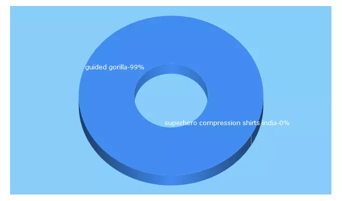 Top 5 Keywords send traffic to guidedgorillashop.com