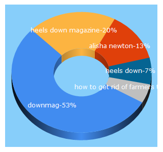 Top 5 Keywords send traffic to heelsdownmag.com