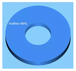 Top 5 Keywords send traffic to holthis.com