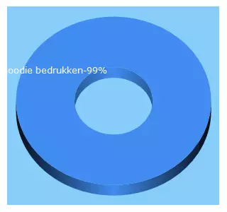 Top 5 Keywords send traffic to hoodiewereld.nl