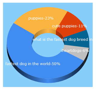 Top 5 Keywords send traffic to iheartdogs.com