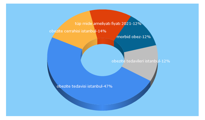 Top 5 Keywords send traffic to istanbulobezitecerrahisi.com