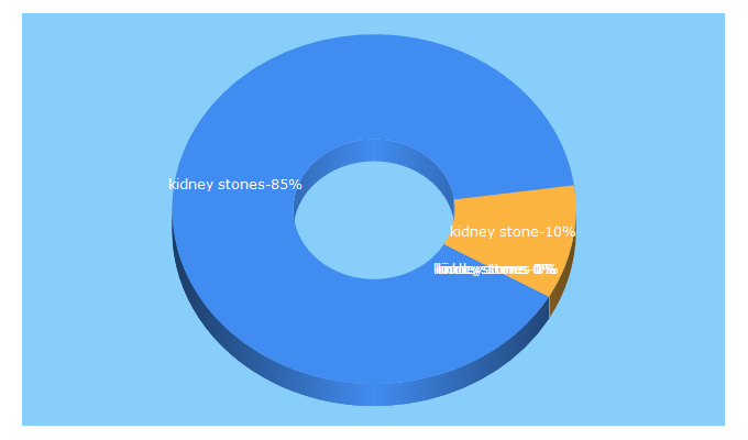 Top 5 Keywords send traffic to kidneystonewebsite.com