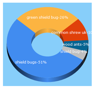 Top 5 Keywords send traffic to letsgowild.co.uk