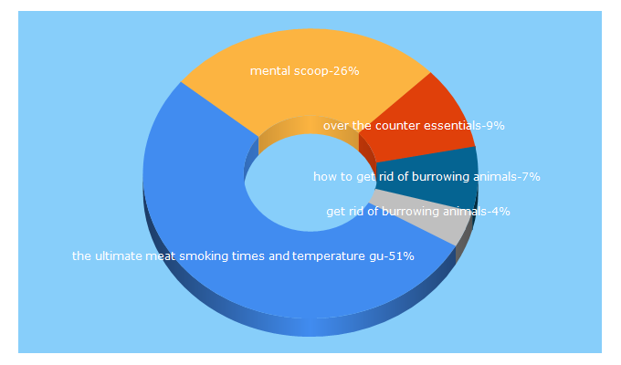 Top 5 Keywords send traffic to mentalscoop.com