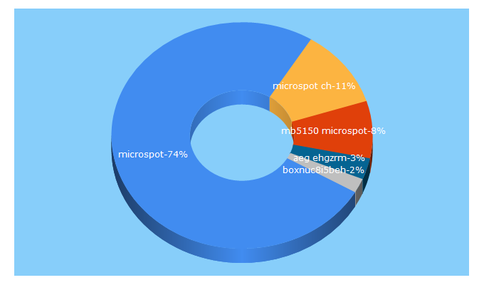 Top 5 Keywords send traffic to microspot.ch