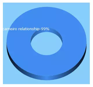 Top 5 Keywords send traffic to nationfocus.com