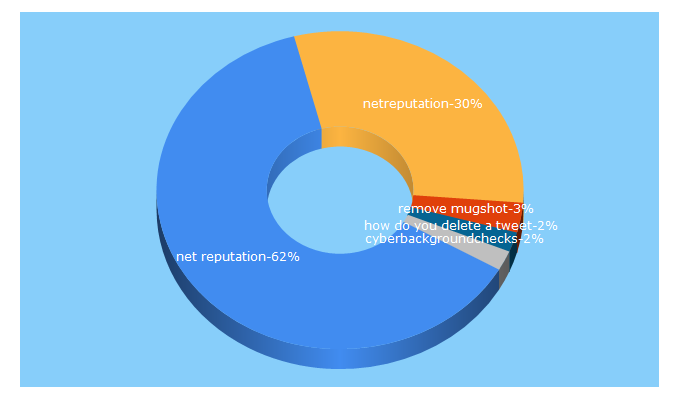 Top 5 Keywords send traffic to netreputation.com