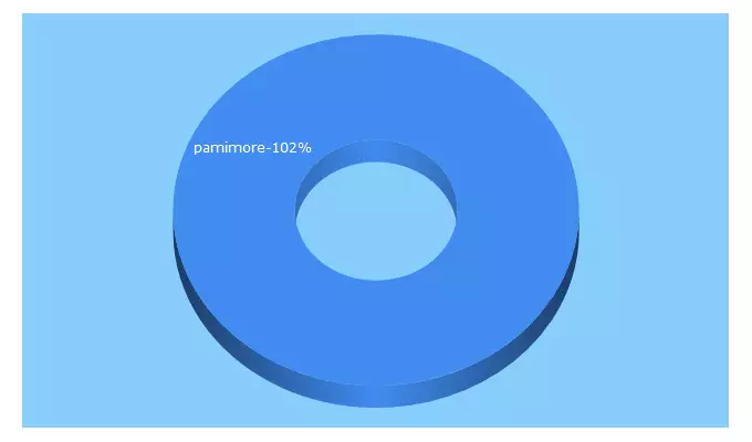 Top 5 Keywords send traffic to pamimore.com