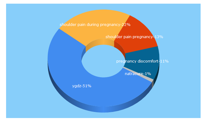 Top 5 Keywords send traffic to pregnantpain.com