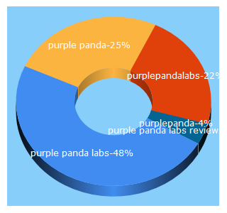 Top 5 Keywords send traffic to purplepandalabs.com