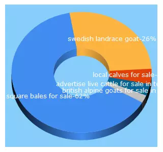 Top 5 Keywords send traffic to ranchnetwork.com