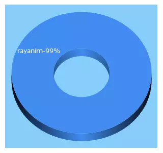 Top 5 Keywords send traffic to rayanim.com