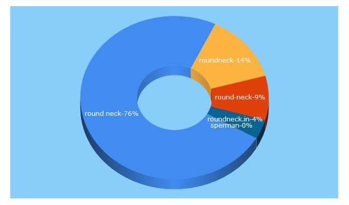 Top 5 Keywords send traffic to roundneck.in