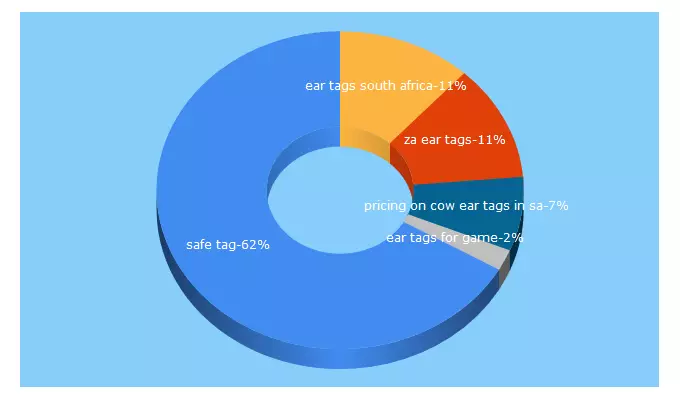 Top 5 Keywords send traffic to safetag.co.za