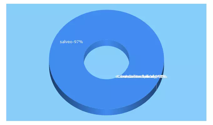 Top 5 Keywords send traffic to salveo.com