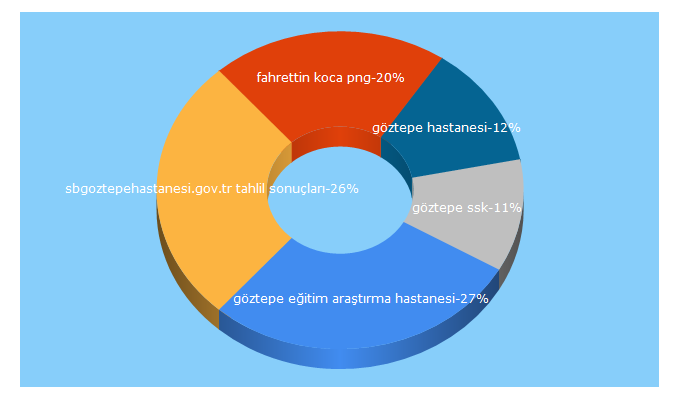 Top 5 Keywords send traffic to sbgoztepehastanesi.gov.tr