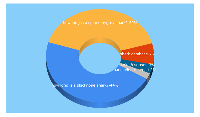 Top 5 Keywords send traffic to shark.ch