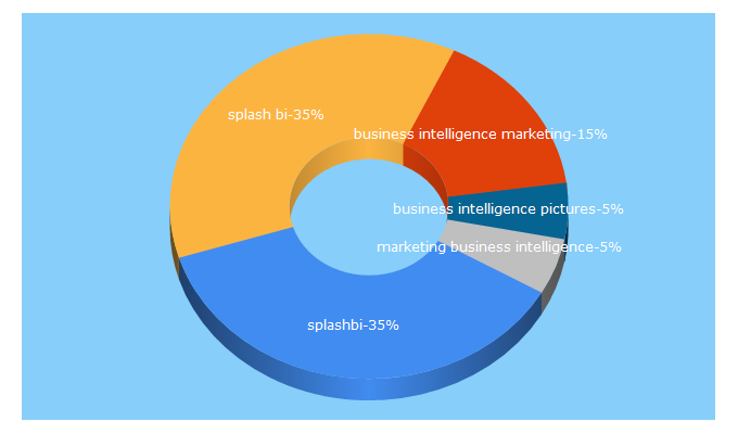 Top 5 Keywords send traffic to splashbi.com