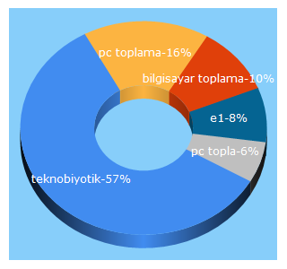 Top 5 Keywords send traffic to teknobiyotik.com