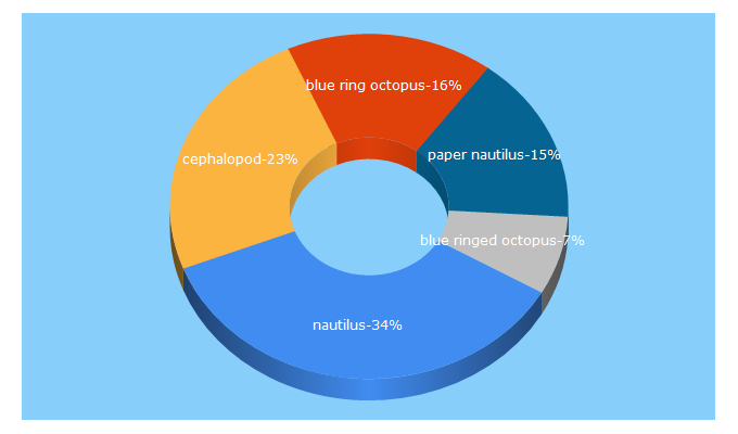 Top 5 Keywords send traffic to thecephalopodpage.org