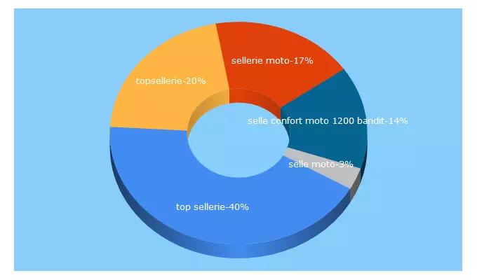 Top 5 Keywords send traffic to topsellerie.com