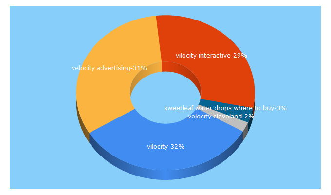 Top 5 Keywords send traffic to vilocity.com