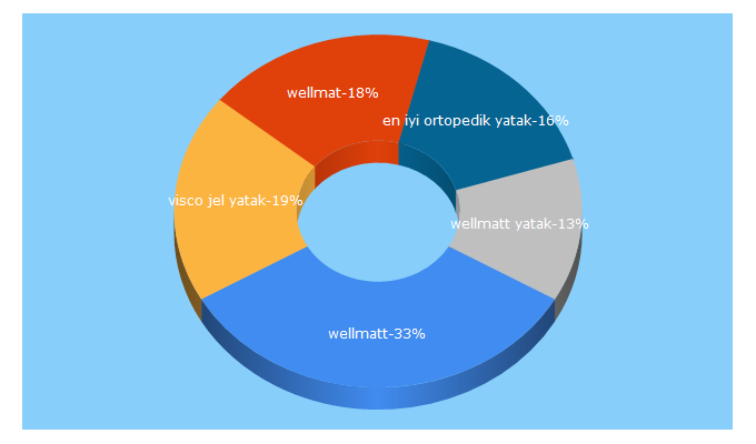 Top 5 Keywords send traffic to wellmatt.com