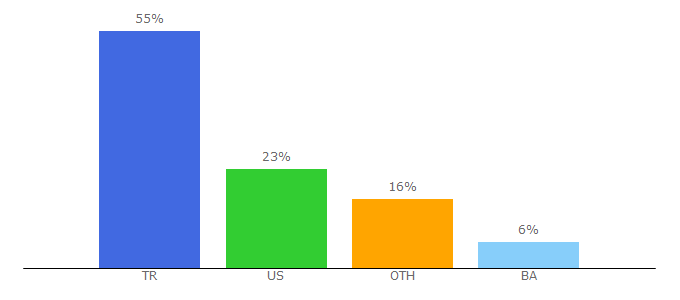 Top 10 Visitors Percentage By Countries for amerikaninsesi.com